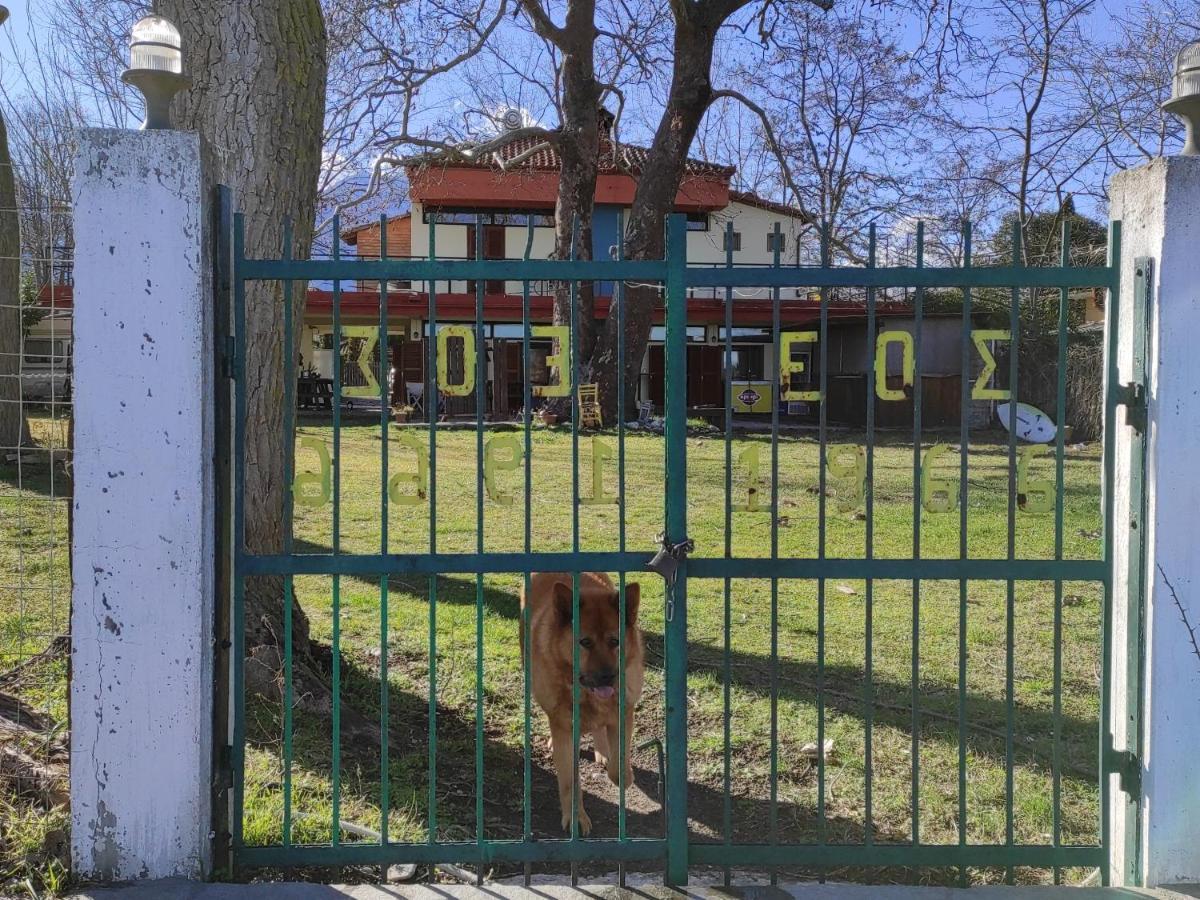 Summit Zero Hostel Plaka Litochorou Exterior photo